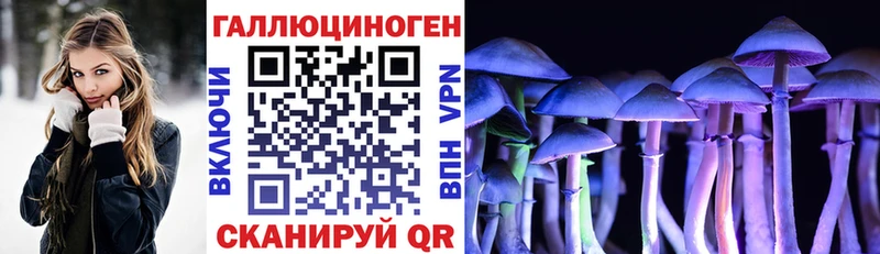 Псилоцибиновые грибы Cubensis  Купить  Людиново 